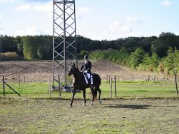 IMG_4187-002-redigeret